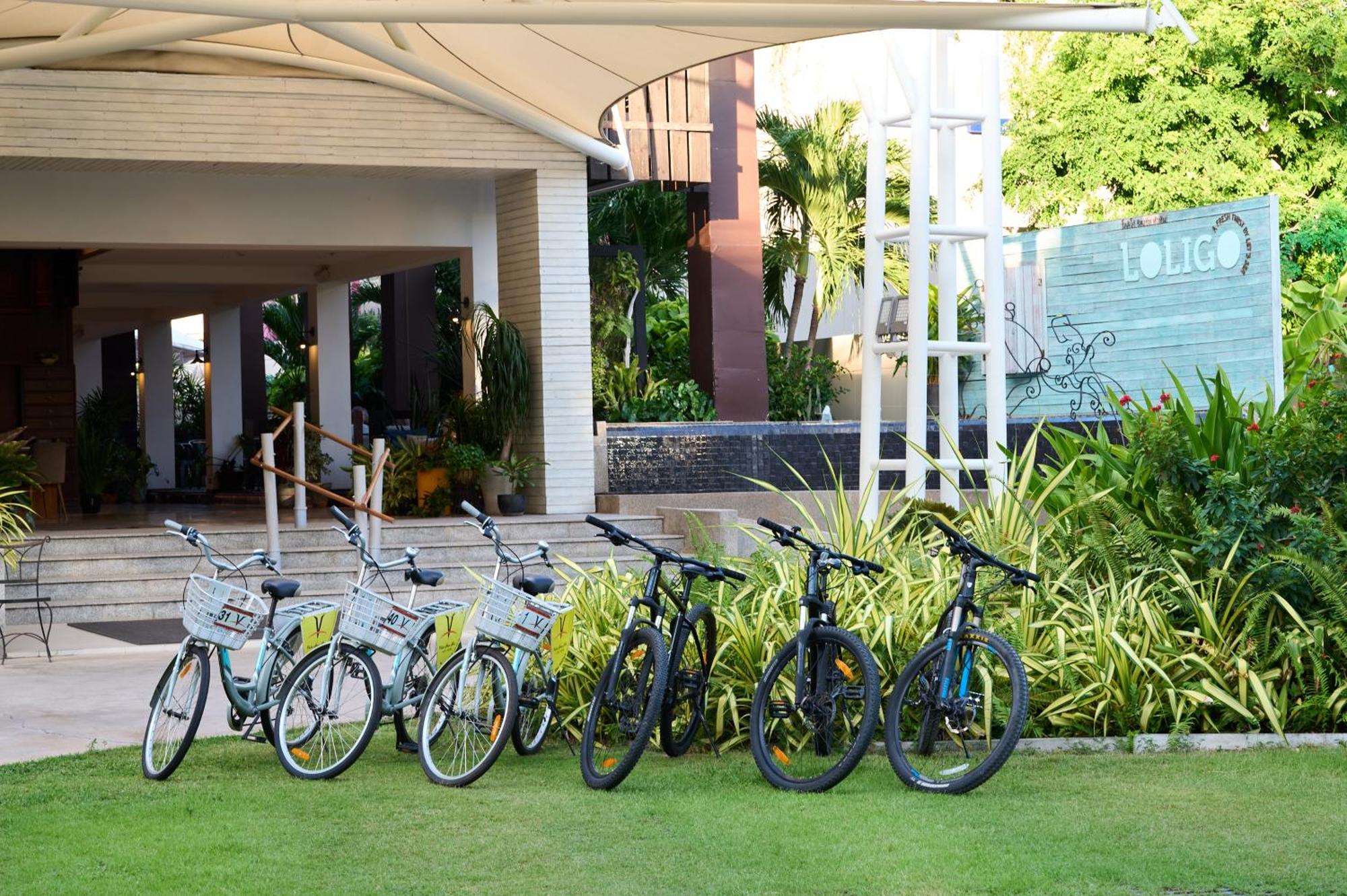 Resort Loligo