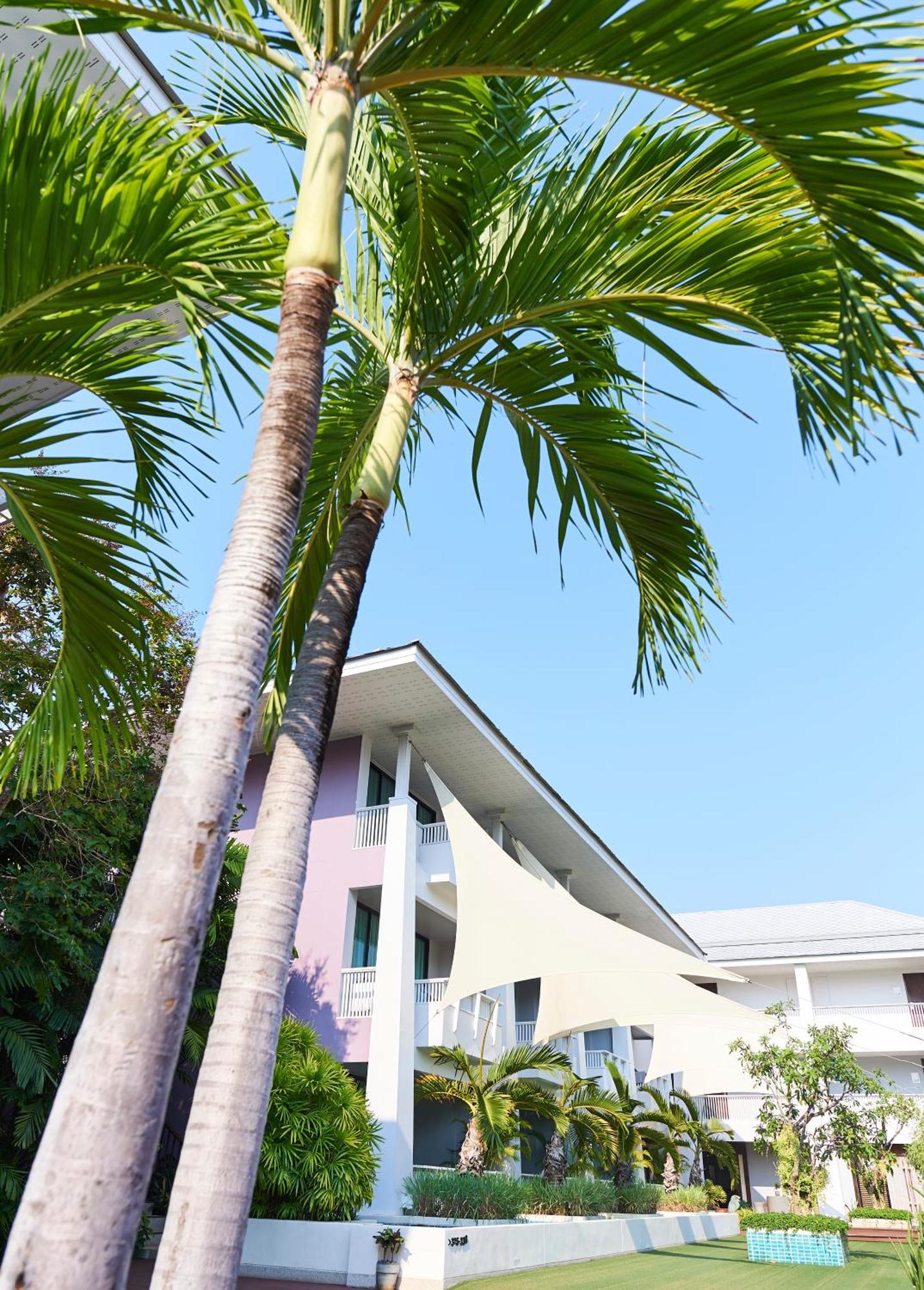 Loligo Resort